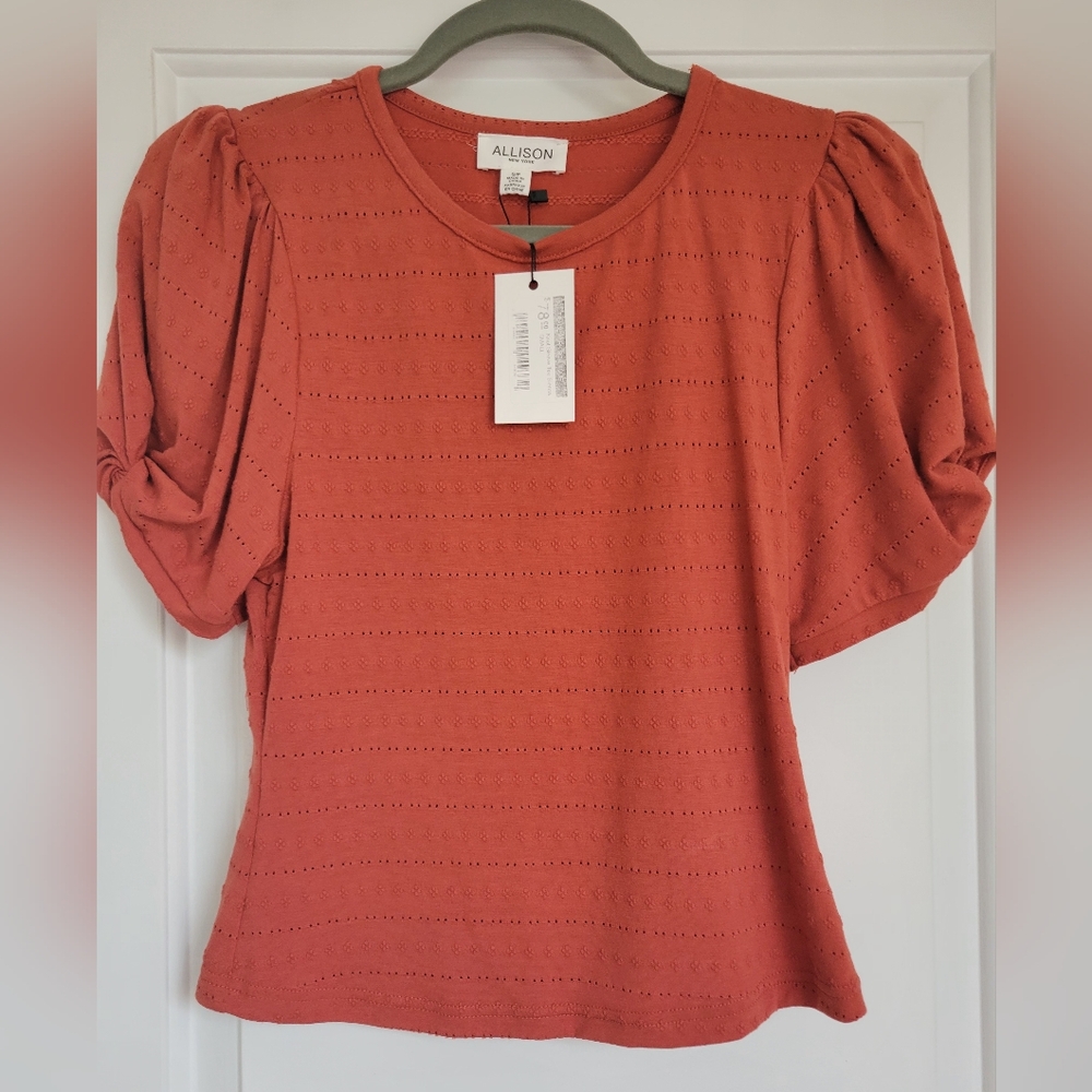 Allison Rust colored short sleeve Size S/P